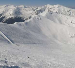 Przełęcz Goryczkowa nad Zakosy