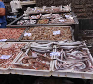 Getier welches wir nicht kennen