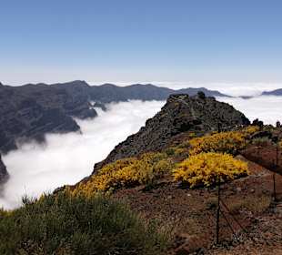 Wandern Los Cancajos