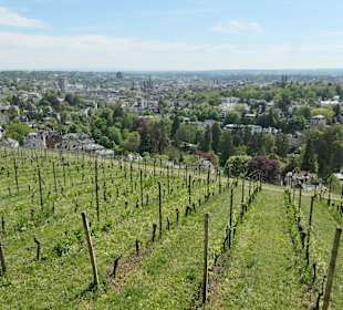 Neroberg: Ausblick von der Löwenterrasse