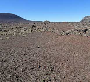 Impressionen aus der Plaine des Sables