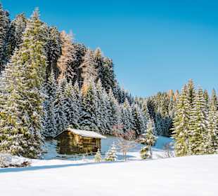 Wandern Cornedo all'Isarco / Karneid