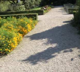 Botanischer Garten München