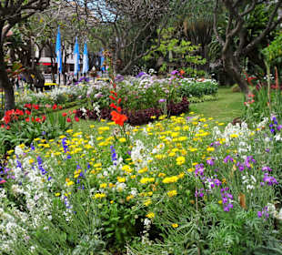 Impressionen aus dem Stadtpark von Funchal