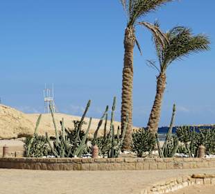 Ausflug nach Sharm el Naga