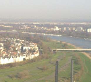 Blick vom Rheintum