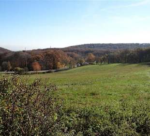 Herrliche Gegend mitten in der Stadt
