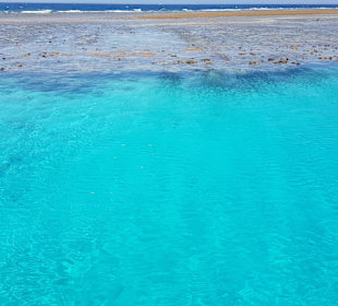 Schnorcheln Hurghada