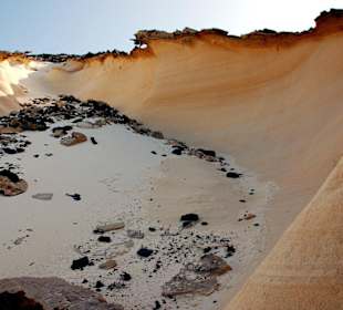 Faszinierend was die Natur so baut