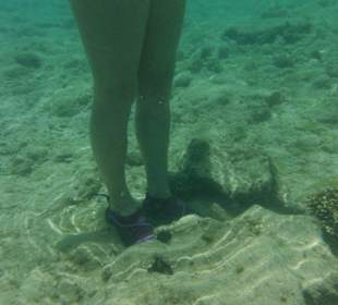 Hausriff, rechts von der Marina. Mit den Beinen vo