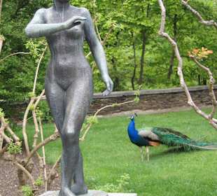 Ausflug auf Brissagoinsel