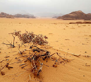 Wüstenlandschaft Wadi Rum