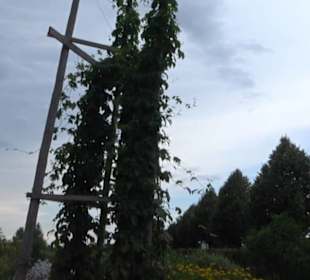 ALB-GOLD Naturgarten