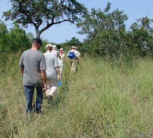 Wanderung in der Wildnis