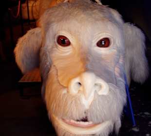 Ausflugsmöglichkeit: Bavaria Filmstudios