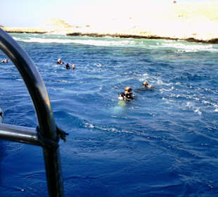 Tauchen im Roten Meer mit JDC