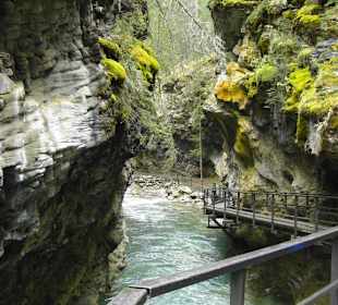 Entlang des Johnstonn Canyon