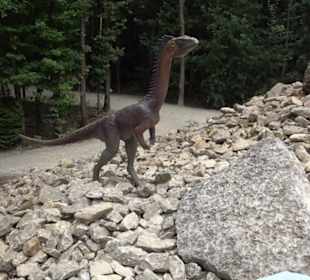 Dinosaurier Museum Altmühltal