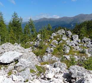 Abwechselungsreicher aber auch unebener Weg