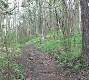 Wanderung rund um das Rusenschloss Gerhausen