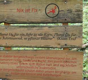 Über den Bergwald-Erlebnispfad hoch zum Frillensee