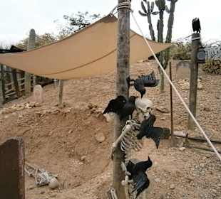 Порт Авентура Салоу