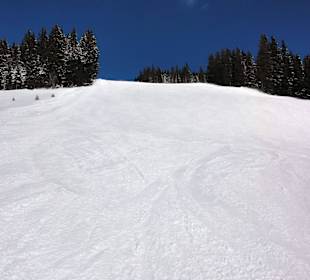 Die Pisten am Pründlkopf