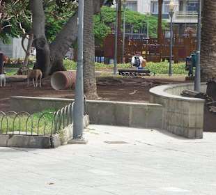 Park San Telmo