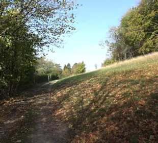 Naturschutzgebiet Neuffener Heide
