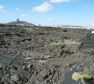 Fundacion Cesar Manrique