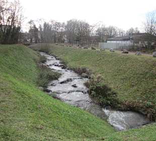 Partie an der Queich