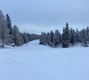 Skifahren