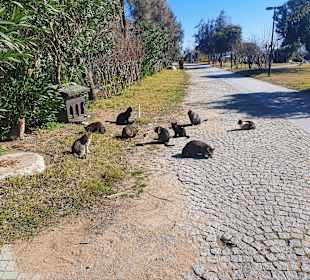 Strandpromenade Evrenseki