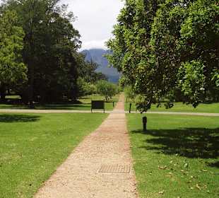 Gartenanlage