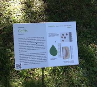 Botanischer Garten München