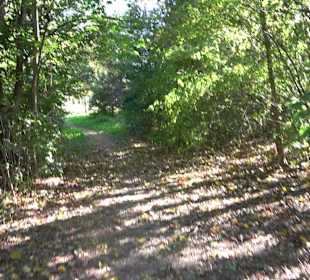 Baumlehrpfad Zollertal