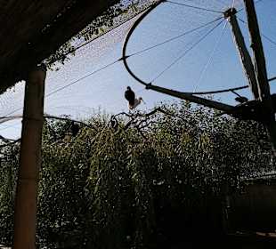 Zoologischer Garten Prag