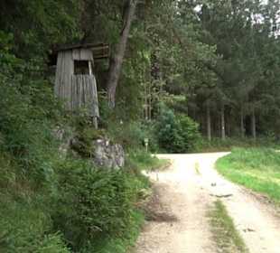 Wanderung Froschteich-Tour