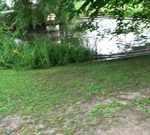 Fischlehrpfad Neu-Ulm