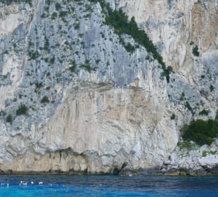 Felsen über Felsen von Capri