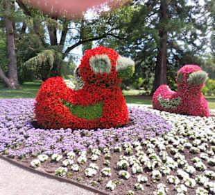 Blumeninsel Mainau
