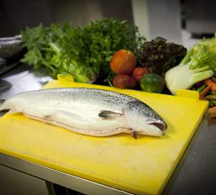 Ristorante Soleiado Rimini ristorante restaurant