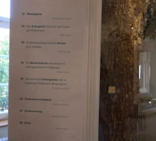 Museum Natur und Mensch