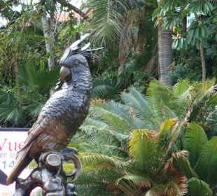„Loro Parque" Park