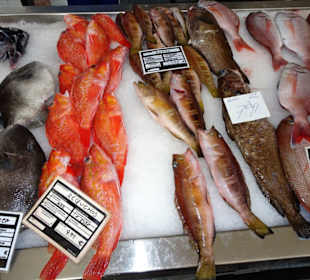 In der Fischabteilung der Markthalle