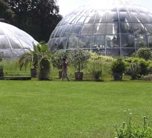 Botanischer Garten der Universität Zürich