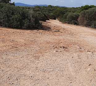 Festung Punta de n'Amer