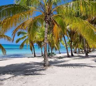 Punta Cana auf Deutsch - einfach schöne Ausflüge