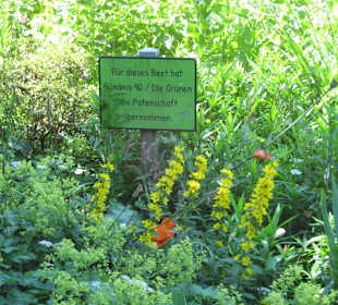 Kardinal-Graf-von-Galen-Park 