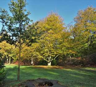 Herbstspaziergang durch den Schlosspark Lütetsburg
